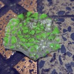 Embankment tube station